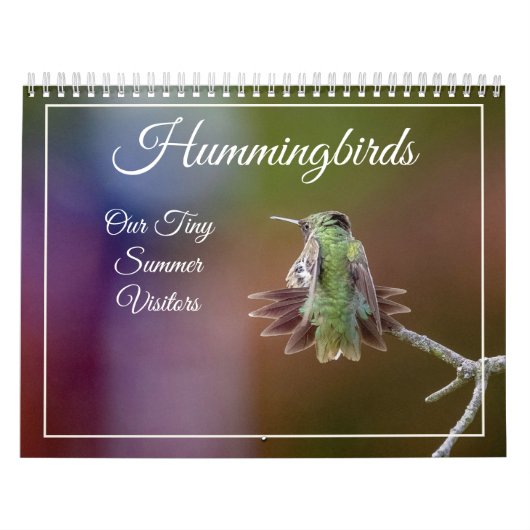 Kolibries, Tiny Summer Visitors Kalender (Hoes)