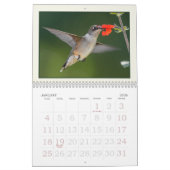 Kolibries, Tiny Summer Visitors Kalender (Jan 2026)