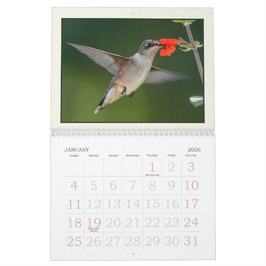 Kolibries, Tiny Summer Visitors Kalender (Jan 2026)