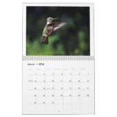 Kolibries van Californië 2024 Kalender (Mar 2026)