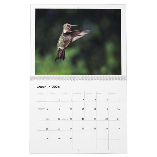 Kolibries van Californië 2024 Kalender (Mar 2026)