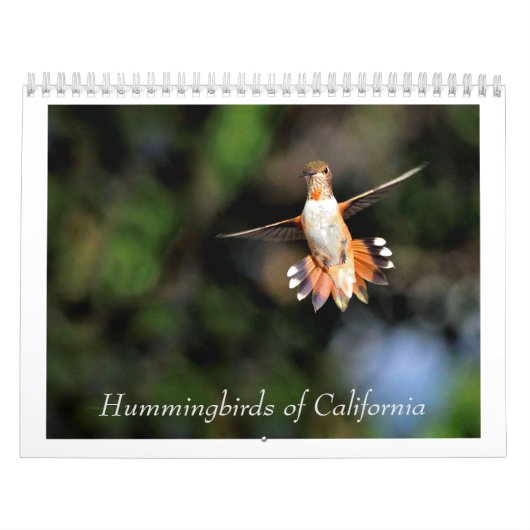 Kolibries van Californië 2024 Kalender (Hoes)
