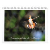 Kolibries van Californië 2024 Kalender (Hoes)