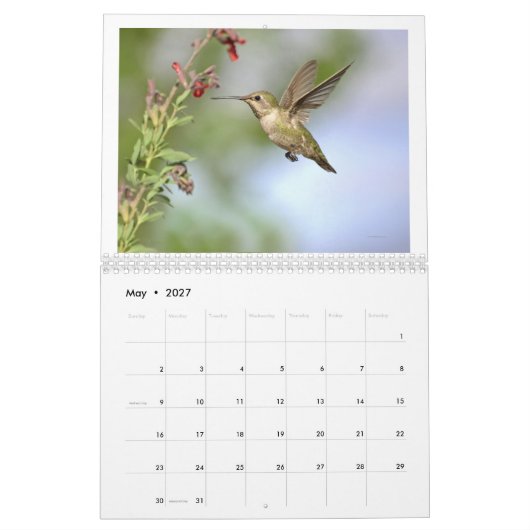 Kolibries van Californië 2024 Kalender (Mei 2027)