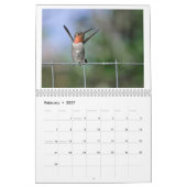 Kolibries van Californië 2024 Kalender (Feb 2027)