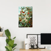 Kolibries van Ernst Haeckel Poster (Thuiskantoor)