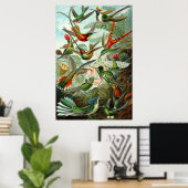 Kolibries van Ernst Haeckel Poster (Thuiskantoor)