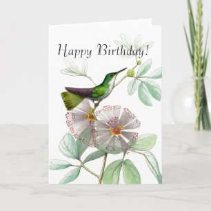 Kolibries Vogels Bloemen Bloemen Bloemdieren Wildl Kaart