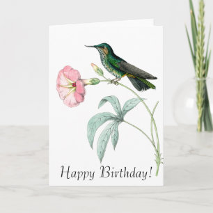 Kolibries Vogels Bloemen Bloemen Bloemdieren Wildl Kaart