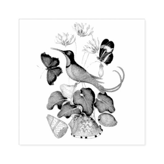 Kolibries Wildlife Shells Scrapbooking Rubberstempel (Afrduk)