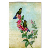  Kolibris, Gute Besserung (Voorkant)