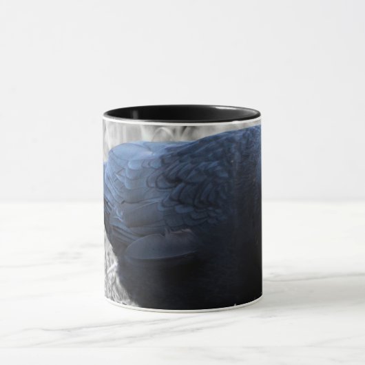 Kolkrabe Mok (Midden)