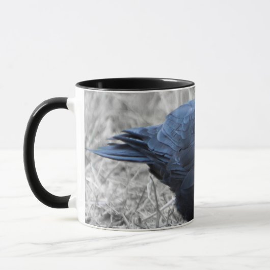 Kolkrabe Mok (Links)