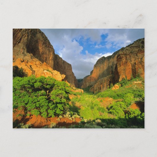 Kolob Canyon bij Zion Canyon in Zion National Briefkaart (Voorkant)
