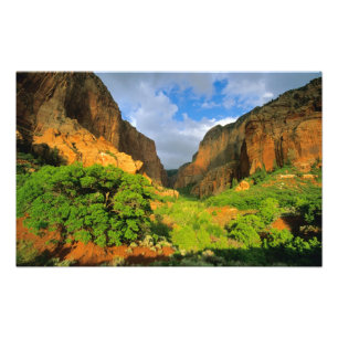 Kolob Canyon bij Zion Canyon in Zion National Foto Afdruk