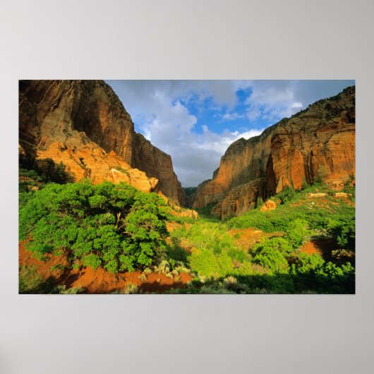 Kolob Canyon bij Zion Canyon in Zion National Poster (Voorkant)