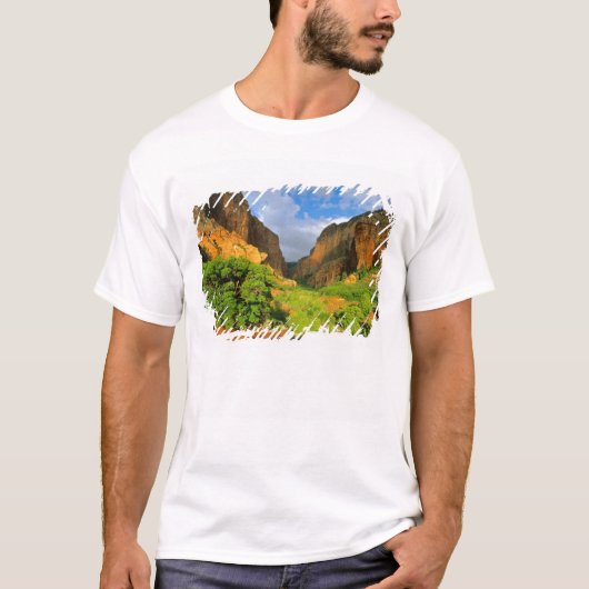 Kolob Canyon bij Zion Canyon in Zion National T-shirt (Voorkant)