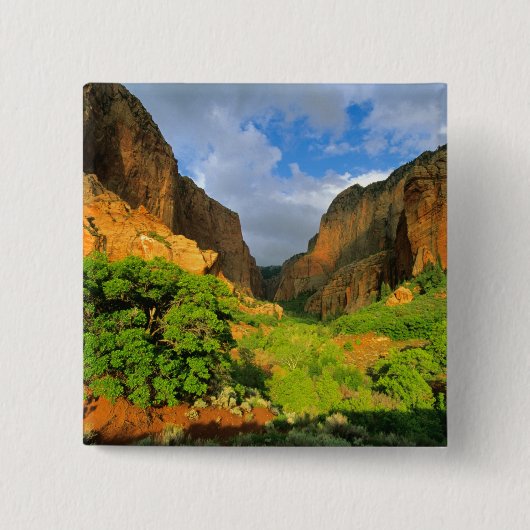 Kolob Canyon bij Zion Canyon in Zion National Vierkante Button 5,1 Cm (Voorkant)