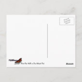 Kolob Canyons in Zion National Park Briefkaart (Achterkant)