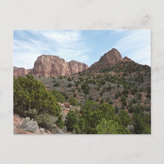 Kolob Canyons in Zion National Park Briefkaart (Voorkant)