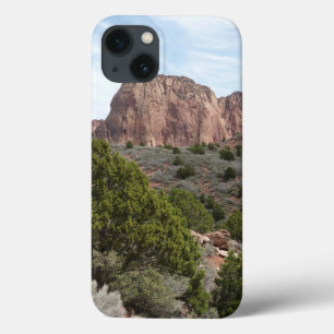 Kolob Canyons in Zion National Park Case-Mate iPhone Case