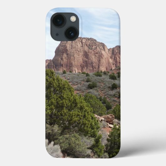 Kolob Canyons in Zion National Park Case-Mate iPhone Case (Achterkant)