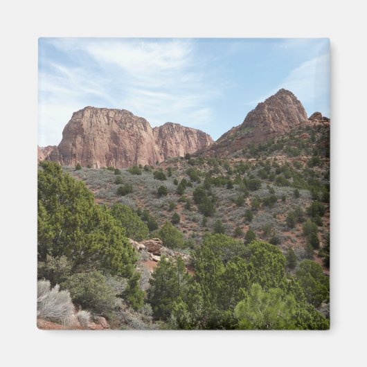 Kolob Canyons in Zion National Park Magneet (Voorkant)
