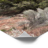 Kolob Canyons in Zion National Park Poster (Hoek)