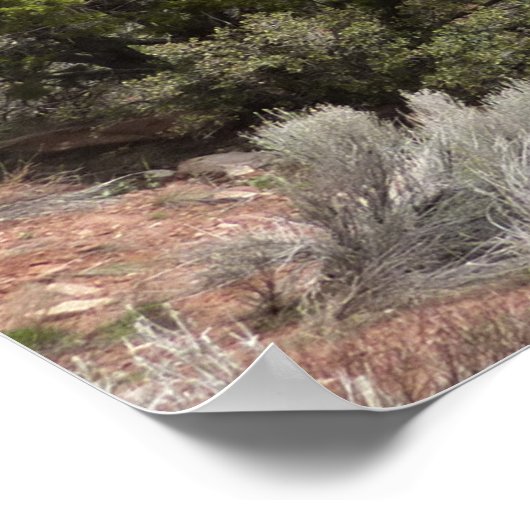 Kolob Canyons in Zion National Park Poster (Hoek)