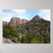 Kolob Canyons in Zion National Park Poster (Voorkant)