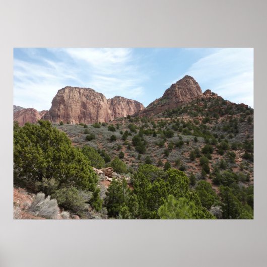 Kolob Canyons in Zion National Park Poster (Voorkant)