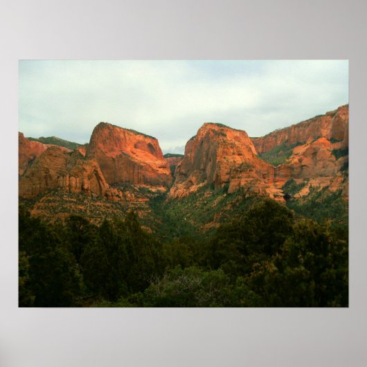 Kolob Canyons Poster (Voorkant)