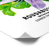 Kolometiket van het pakket van het kolommenzaad poster (Hoek)