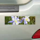 Kolomfamilie Bumpersticker (Op auto)