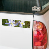 Kolomfamilie Bumpersticker (Op Truck)