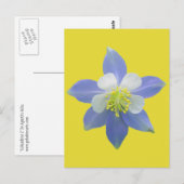 Kolomkolom 2 briefkaart (Voorkant / Achterkant)
