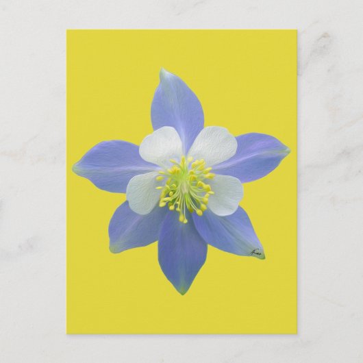 Kolomkolom 2 briefkaart (Voorkant)