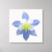 Kolomkolom 2 canvas afdruk (Voorkant)