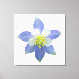 Kolomkolom 2 canvas afdruk