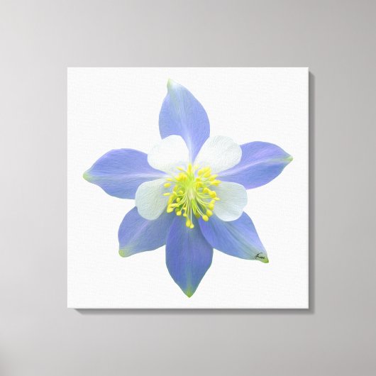 Kolomkolom 2 canvas afdruk (Voorkant)