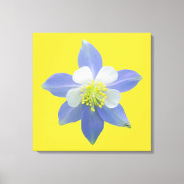 Kolomkolom 2 canvas afdruk