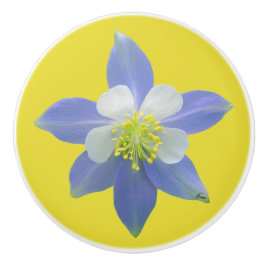 Kolomkolom 2 keramische knop