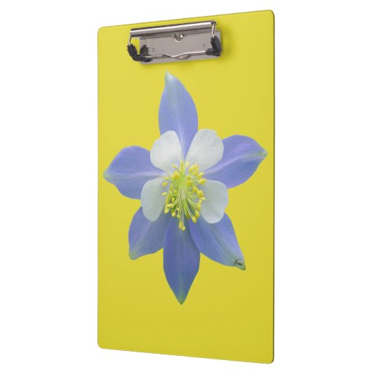 Kolomkolom 2 klembord (Links)