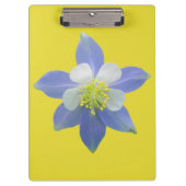 Kolomkolom 2 klembord (Voorkant)