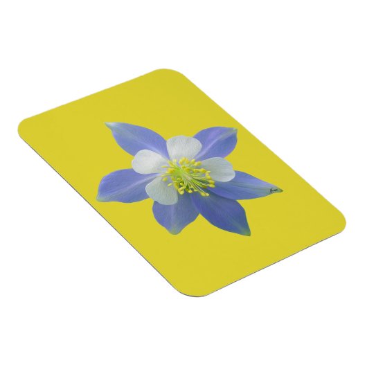 Kolomkolom 2 magneet (Rechterzijde)