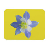 Kolomkolom 2 magneet (Horizontaal)