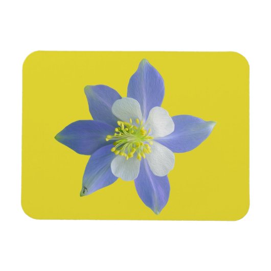 Kolomkolom 2 magneet (Horizontaal)