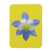 Kolomkolom 2 magneet (Verticaal)