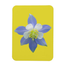 Kolomkolom 2 magneet