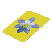 Kolomkolom 2 magneet (Linkerzijde)